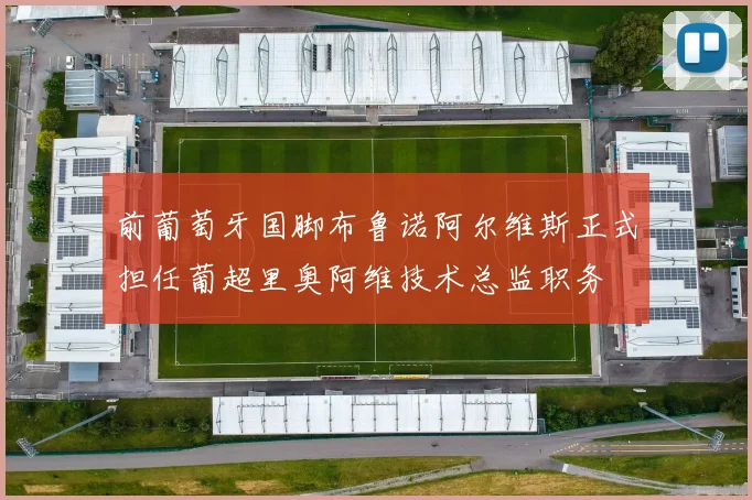 前葡萄牙国脚布鲁诺阿尔维斯正式担任葡超里奥阿维技术总监职务