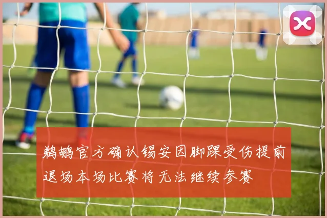 鹈鹕官方确认锡安因脚踝受伤提前退场本场比赛将无法继续参赛