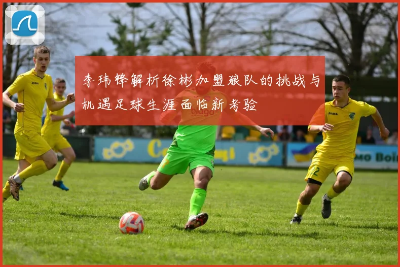 李玮锋解析徐彬加盟狼队的挑战与机遇足球生涯面临新考验