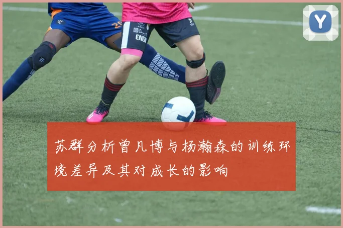 苏群分析曾凡博与杨瀚森的训练环境差异及其对成长的影响