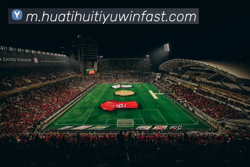 华体会体育平台生态图