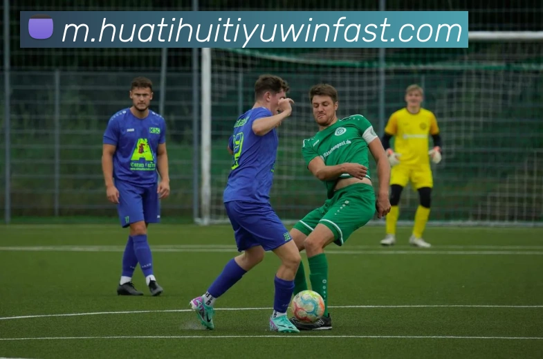 华体会体育全站App